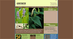 Desktop Screenshot of critsite.com