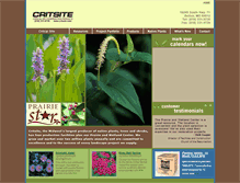 Tablet Screenshot of critsite.com